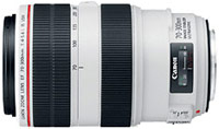 Купить объектив Canon 70-300mm f/4.0-5.6L EF IS USM: цена от 47000 грн.