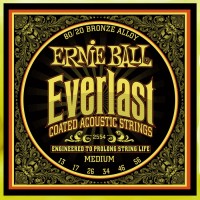 Купить струны Ernie Ball Everlast Coated 80/20 Bronze 13-56  по цене от 898 грн.