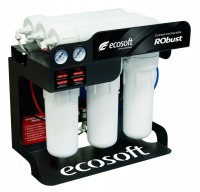 Купить фильтр для воды Ecosoft Robust 1000: цена от 16800 грн.