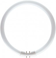 Купить лампочка Philips MASTER TL5 Circular 40W 4000K 2GX13  по цене от 613 грн.