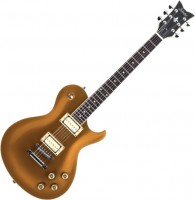 Купить гитара Schecter Solo-6 Limited  по цене от 34343 грн.