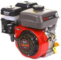 Купить двигатель Bulat BW170F-T/20  по цене от 2856 грн.
