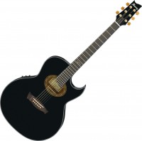 Купить гитара Ibanez EP5  по цене от 44999 грн.