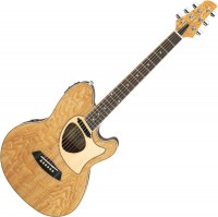 Купить гитара Ibanez TCM50: цена от 13760 грн.