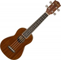 Купить гитара Fender Seaside Soprano Ukulele  по цене от 2500 грн.