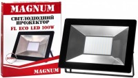 Купить прожектор / светильник Magnum FL ECO LED 100: цена от 766 грн.