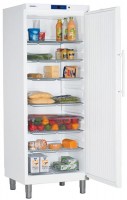 Купить холодильник Liebherr GKv 6410  по цене от 63849 грн.