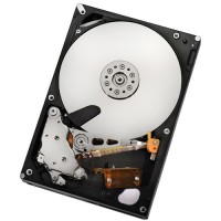 Купить жесткий диск Hitachi HGST Ultrastar A7K2000 по цене от 1754 грн.