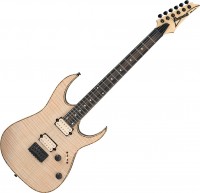Купити електрогітара / бас-гітара Ibanez RGEW521FM  за ціною від 25823 грн.