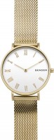 Купить наручные часы Skagen SKW2713  по цене от 3856 грн.