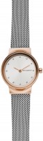 Купить наручные часы Skagen SKW2716  по цене от 3668 грн.