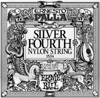 Купить струны Ernie Ball Single Nylon Silver Wound 30  по цене от 85 грн.