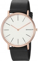 Купить наручные часы Skagen SKW6430  по цене от 5990 грн.