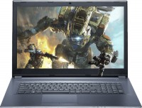 Купить ноутбук Dream Machines Clevo G1060-17 по цене от 49368 грн.