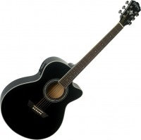 Купить гітара Washburn EA12: цена от 11680 грн.