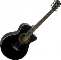 Купить гитара Washburn EA10: цена от 10454 грн.