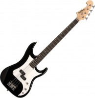Купить гитара Washburn SB15P  по цене от 8649 грн.