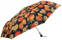 Купить зонт Gianfranco Ferre HDUE-F370: цена от 1592 грн.