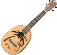 Купить гитара Ortega RUPA5: цена от 4108 грн.