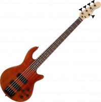 Купить гитара Godin Freeway 5 Active: цена от 37070 грн.
