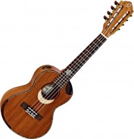 Купить гитара Ortega ECLIPSE-TE8: цена от 17080 грн.