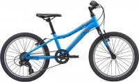 Купить велосипед Giant XTC Jr 20 Lite 2020: цена от 12110 грн.