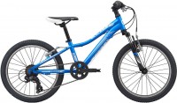 Купить детский велосипед Giant Liv Enchant 20 2020  по цене от 12900 грн.