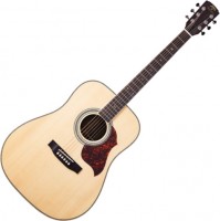 Купить гитара Virginia VD-185S  по цене от 11520 грн.