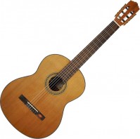 Купить гитара Salvador Cortez CC-10  по цене от 9790 грн.