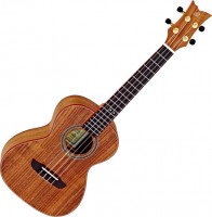 Купить гитара Ortega RUACA-TE  по цене от 15280 грн.