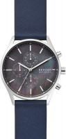 Купить наручные часы Skagen SKW6653  по цене от 7000 грн.
