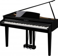 Купить цифровое пианино Kawai DG30: цена от 185520 грн.