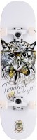 Купить скейтборд Tempish Golden Owl: цена от 3490 грн.
