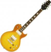 Купить гитара ARIA PE-350PG: цена от 16474 грн.