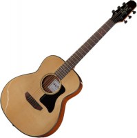 Купить гитара Harley Benton GS-Travel Spruce  по цене от 7499 грн.