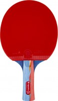 Купить ракетка для настольного тенниса inSPORTline Shootfair S5  по цене от 744 грн.