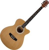 Купить гитара Caravan Music HS-4040: цена от 2949 грн.