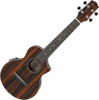 Купить гитара Ibanez UEW13MEE: цена от 18800 грн.