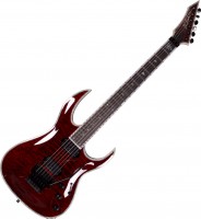 Купить електрогітара / бас-гітара B.C. Rich Shredzilla Prophecy Exotic Archtop with Floyd Rose: цена от 94423 грн.