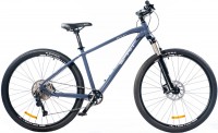 Купить велосипед Spirit Fitness Echo 9.4 29 2021 frame M: цена от 21286 грн.