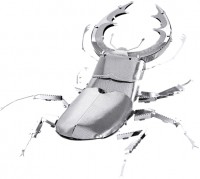 Купить 3D пазл Fascinations Stag Beetles MMS071: цена от 405 грн.