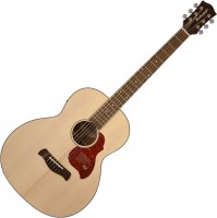 Купить гитара Richwood B-20-E: цена от 33240 грн.