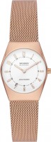 Купить наручний годинник Skagen SKW3078: цена от 10080 грн.