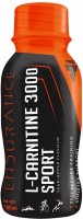 Купить сжигатель жира Trec Nutrition L-Carnitine 3000 Sport 100 ml: цена от 61 грн.