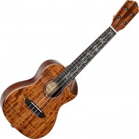 Купить гитара Ortega RUET-ACA: цена от 17960 грн.
