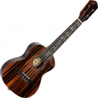 Купить гитара Ortega RUET-EB  по цене от 22320 грн.
