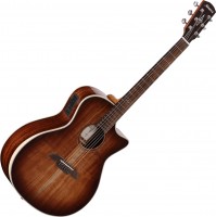 Купить гитара Alvarez AGA99CEARSHB  по цене от 50080 грн.