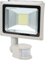 Купить прожектор / светильник LIGHTWELL LW-30W-220PIR  по цене от 563 грн.
