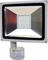 Купить прожектор / светильник LIGHTWELL LW-50W-220PIR: цена от 888 грн.