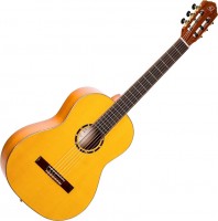 Купить гитара Ortega R170F  по цене от 27560 грн.